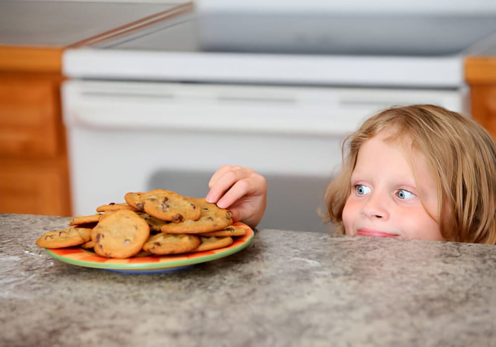 Gourmet Cookie Dough Sale